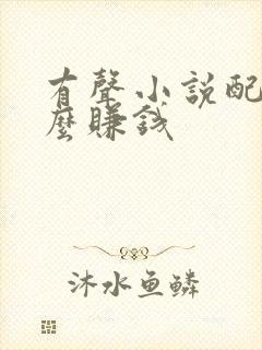 有声小说配音怎么赚钱