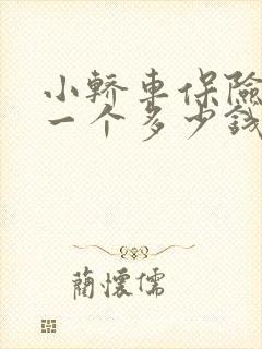 小轿车保险杠换一个多少钱