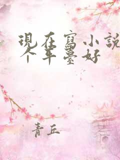 现在写小说去哪个平台好