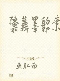 陈万里的唐嫣然最新章节小说