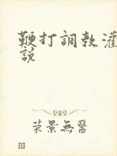 鞭打调教灌肠小说