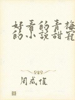 好看的青梅竹马的小说甜宠文