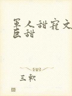 军人甜宠文推荐巨甜