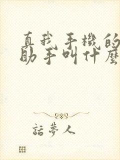 真我手机的手机助手叫什么