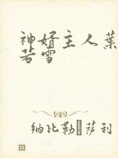 神婿主人叶凡唐若雪