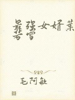 最强女婿叶凡唐若雪