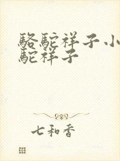 骆驼祥子小说骆驼祥子