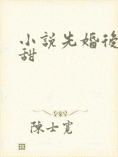 小说先婚后爱虐甜