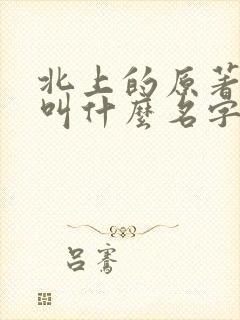 北上的原著小说叫什么名字