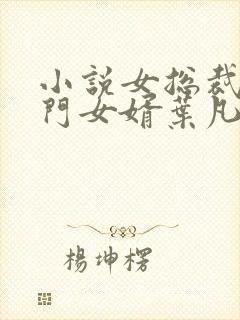 小说女总裁的上门女婿叶凡完全版