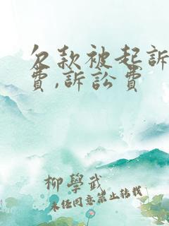 欠款被起诉律师费,诉讼费