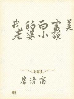 我的白富美总裁老婆小说