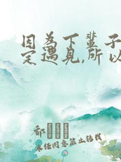 因为下辈子不一定遇见,所以我今生歌词