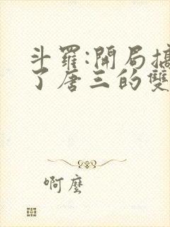 斗罗:开局搞没了唐三的双生武魂小说