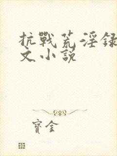 抗战荒淫录h辣文小说