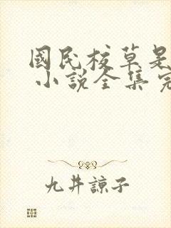 国民校草是女生 小说全集完整版txt