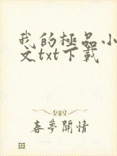 我的极品小姨全文txt下载