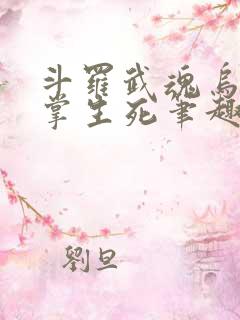 斗罗武魂乌鸦执掌生死笔趣阁