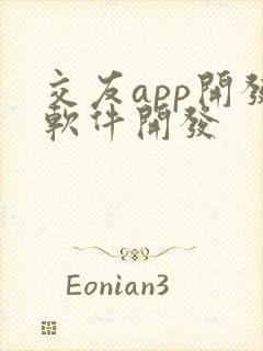 交友app开发软件开发