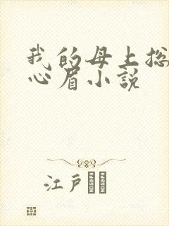 我的母上总裁秦心眉小说