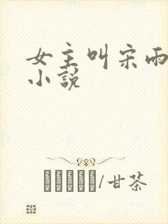 女主叫宋雨桐的小说