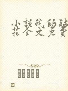 小说我的贴身校花全文免费阅读