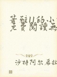 萧雅11的小说免费阅读无弹窗最新章节