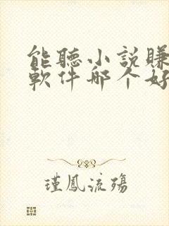 能听小说赚钱的软件哪个好