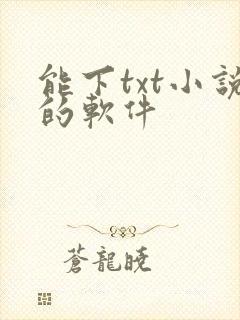 能下txt小说的软件