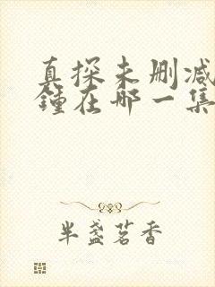 真探未删减6分钟在哪一集