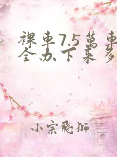 裸车7.5万车全办下来多少钱