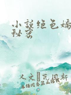 小说绝色娇妻的秘密