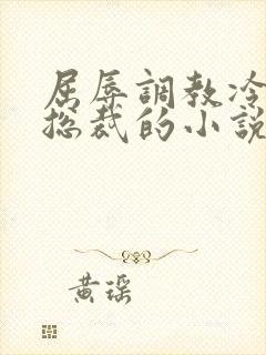 屈辱调教冷艳女总裁的小说