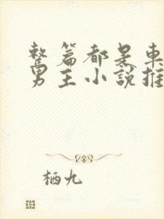 整篇都是车的双男主小说推荐