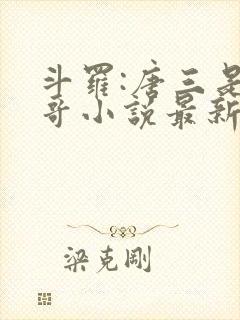 斗罗:唐三是我哥小说最新章节