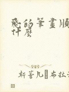 飞的笔画顺序是什么