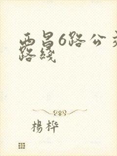 西昌6路公交车路线