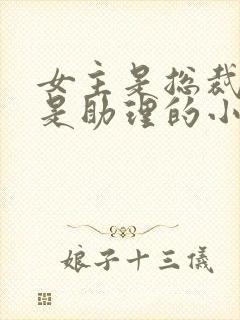 女主是总裁男主是助理的小说