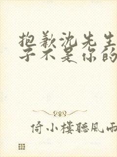 抱歉沈先生,孩子不是你的短剧版