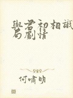 与君初相识大结局剧情