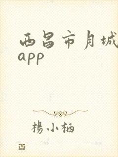 西昌市月城公交app