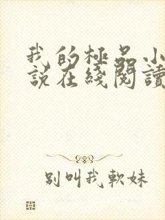 我的极品小姨小说在线阅读全文免费