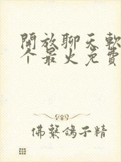 开放聊天软件哪个最火免费