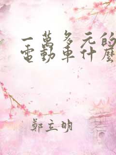 一万多元的四轮电动车什么牌子的好