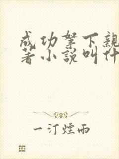 成功拿下亲妈原著小说叫什么名字