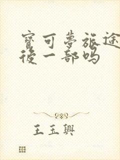 宝可梦旅途是最后一部吗