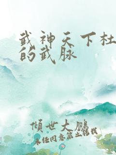 武神天下杜少甫的武脉