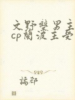 文野双男主小说cp兰波主受