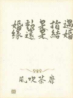 婚动是指遇见正缘还是结婚