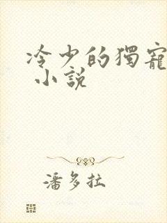 冷少的独宠娇妻 小说